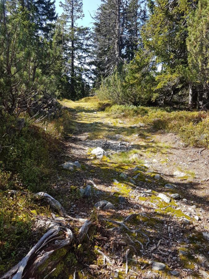 Fesengut Hotell Annaberg im Lammertal Eksteriør bilde