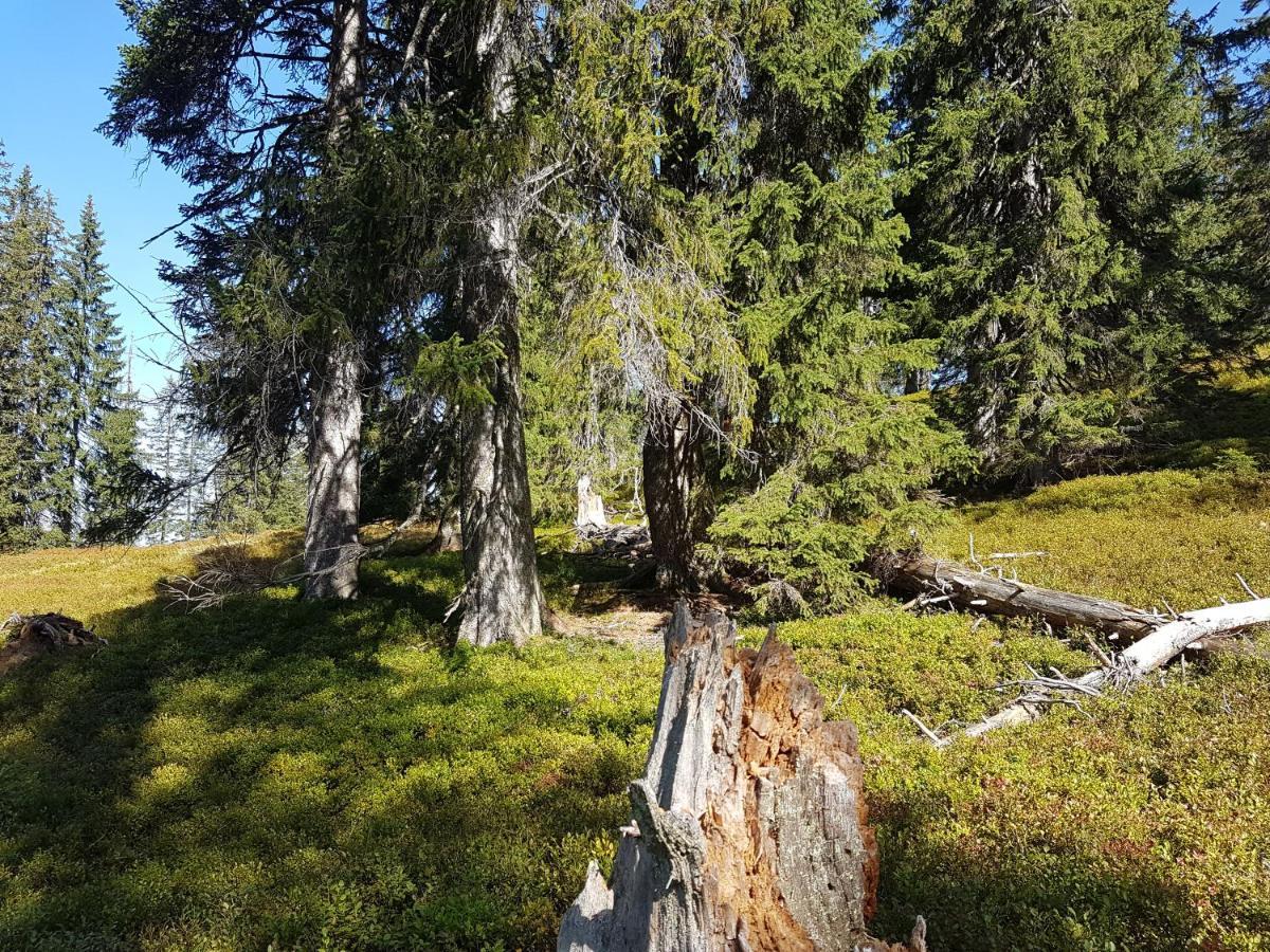 Fesengut Hotell Annaberg im Lammertal Eksteriør bilde
