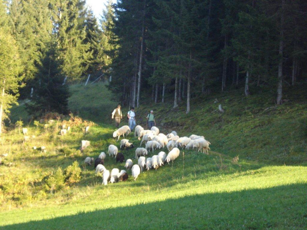 Fesengut Hotell Annaberg im Lammertal Eksteriør bilde